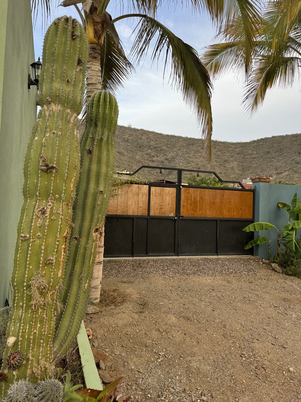 Picture of a blue concrete wall 10 ft tall, with large closed gates. Proividing security for the trailer park. A cardon cactus is in the foreground