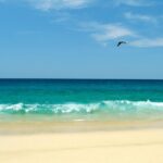 Picture of the clear water at San Pedrito Beach, Baja California Sur, Mexico