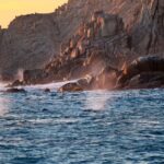 Picture of two grey whales shooting water out of their blowholes, in front of a large cliff near Cerritos Beach, BCS